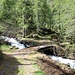 Lariceto presso l'Alpe di Prato (1790 m)<br />Il <b>torrente Calcascia</b> è in piena ([http://www.youtube.com/watch?v=G0EGz9deJQk&layer_token=7daec04bda9cf50  vedi video])
