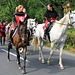 Kadaň, Festumzug, Garde, hinten links die Reiterin mit ihrem Dressurpferd