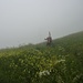 Start in Randa, durch Blumenwiese im Nebel.