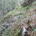 quota 1580 m ca.<br />inizio della "Traversa"