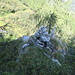 ometto di sassi citato nella foto precedente<br />alla sua destra, precipite pendio di un altro canale che si passa 90 m circa piu' in alto (qui siamo a 1730 m circa)<br />nella vegetazione, si intravede il tracciato del sentierino.