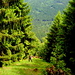 Steile Schneise zum Brautstein