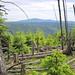Blick vom westlichen Okertal zum Brocken