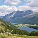 Blick auf die Landzunge bei Sils