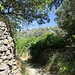die Wanderwege rund um Chalki sind sehr schön