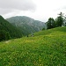 Prati dell'Alpe Moncodeno