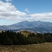 Rückblick zum "Nebelwald"