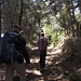 zu Beginn des Weges durch den sogenannten "Nebelwald"