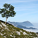 Rigi im Nebel