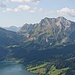 Fluebrig.