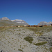 Cuello Arenas mit Kühen und Blick zum Perdido
