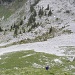 durch diesen steilen Grashang steigen wir hinunter zur hinteren Walop Alp
