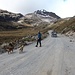 am Parkplatz warten noch 100-150hm bis zum Refugio, und Hunde :)
