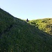 Über die Märchenwiese geht es auf den Wildengundkopf.