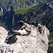 Gar nicht so einfach über diesen, mitten im Weg liegenden, Felsbrocken zu klettern.
