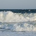 besser als ein Whirlpool - da zieht es selbst einen Steinbock ins Wasser