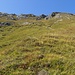 Rückblick nach oben 