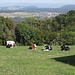 Bald ist Bad Ramsach erreicht. Beim Dorf im Hintergrund tippe ich auf Rünenberg.