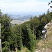 Kurz vor Punkt 950m und vor der Wisenbergmatte.