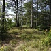 Abstieg gegen Westen, irgendwo zwischen dem Pt. 944m und dem Pt. 832m.