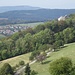 Blick hinüber zur Ruine Homburg.
