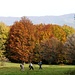 Magie d'autunno