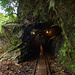 Der kurze Tunnel