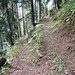 Ich folgte dem Wanderweg zur schon im Ort (als Usserberg) ausgeschilderten Alp Ausserberg.