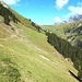 Direkt an der Alp Agne wandte ich mich nach links, und wanderte auf einem alten, nur schwach ausgeprägten und unmarkierten Weg hinunter zu einem Wäldchen, und am Waldrand weiter zur Alp Eggmatti, bzw. direkt hinunter...