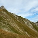Von dort aus ist der Felsgipfel des Ochsen in wenigen Minuten erreicht.