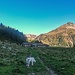 Alpe Guinzana