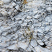 Interessante Felsen.