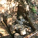 Vlčí hora, archäologisches Profil