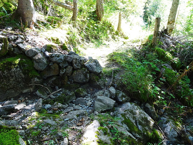 schon auf dem Abstieg, der Bärbach hat kein Wasser und...