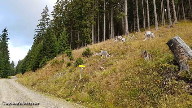 Ab nun geht es nur mehr steil bergan...