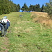 lungo la costa dei pini