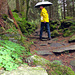 Reichenbach, schöne kleine Wasserfälle oberhalb des grossen Reichenbachfalls