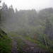 Auf ca. 1400m voll in der Nebelsuppe....