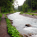 Kurz vor der Gletscherschlucht Rosenlaui, man beachte das viele Wasser und stelle sich den grossen und die kleinen Reichenbachfälle mit dieser Abflussmenge vor (((-: