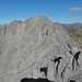 Blick von der Wildkarspitze zum Potschallkopf.