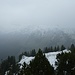 Gipfel vom Farenstöckli, tolle Aussicht ;-)<br />Drusberg und Forstberg und so müsste in dieser Richtung sein!