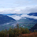 Nebelfetzen im Rheintal