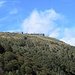 .. uno zoom sulla Corte di Sopra dell'Alpe Foppa