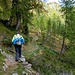 Il bel sentiero tra Passo della Bassa e Capanna Alpe Canaa
