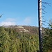 Steinfleck am Steinfleckberg