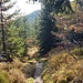 Schöner Steig