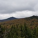 Rückblick zum Lusen