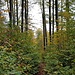 Auf dem Weg zum Tummelplatz 