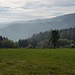 Raus aus dem Wald - Blick Richtung Donautal