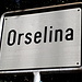 <b>Dopo 59 km d'auto, alle 8.35 arrivo ad Orselina, in Via Patocchi.</b>